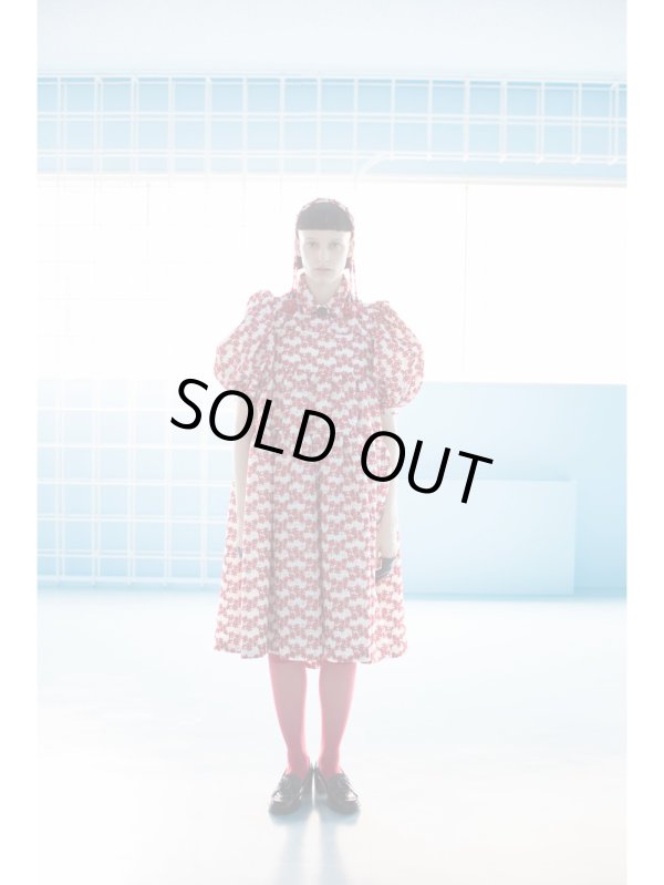 画像6: SIIILON   The romantic dress (6)