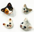 画像4: NACH Mini Siamese Cat ピアス (4)