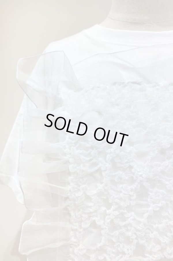 画像1: YuumiARIA EMBROIDERY FRILL T-SHIRTS white white (1)