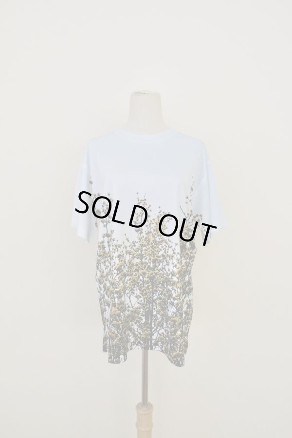 画像1: NON TOKYO DIRECT PRINT T-SHIRT Branch (1)