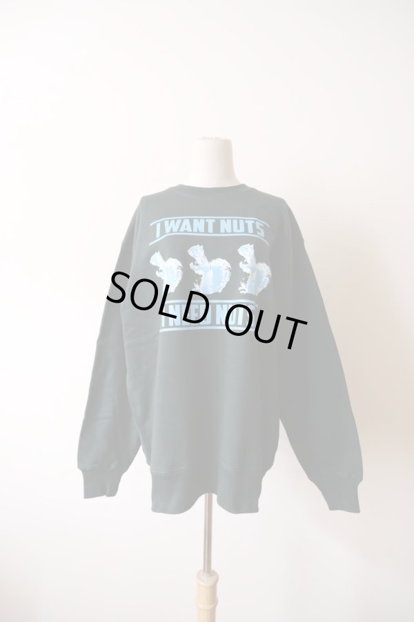 画像1: NON TOKYO PRINT SQUIRREL PULLOVER SWEAT green (1)