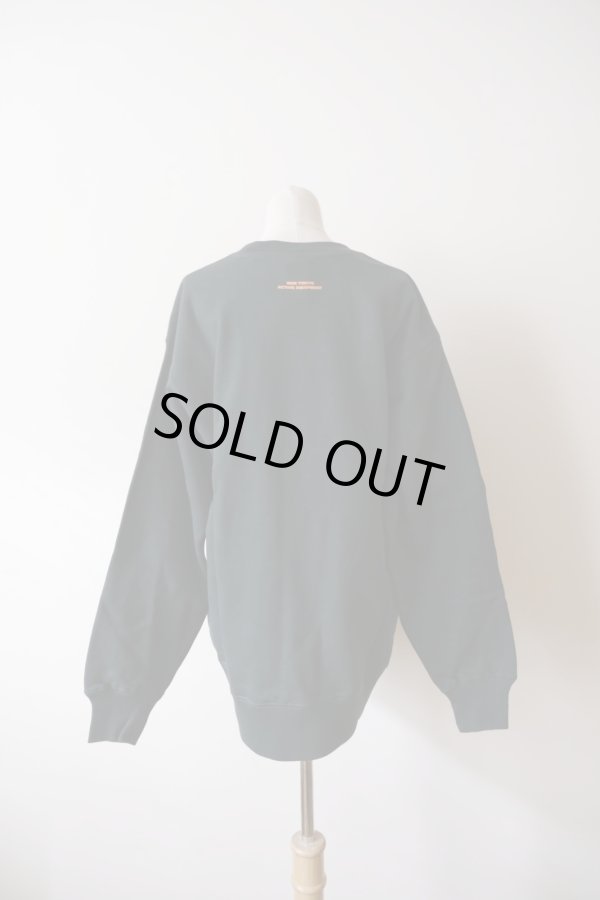 画像5: NON TOKYO PRINT SQUIRREL PULLOVER SWEAT green (5)