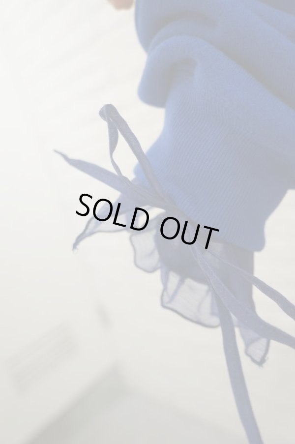 画像9: SIIILON (シーロン) See-through dress (9)