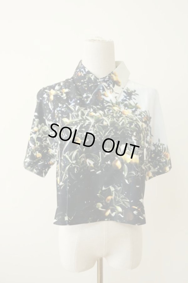 画像1: NON TOKYO  LANDSCAPE PRINT POLO SHIRT  (1)