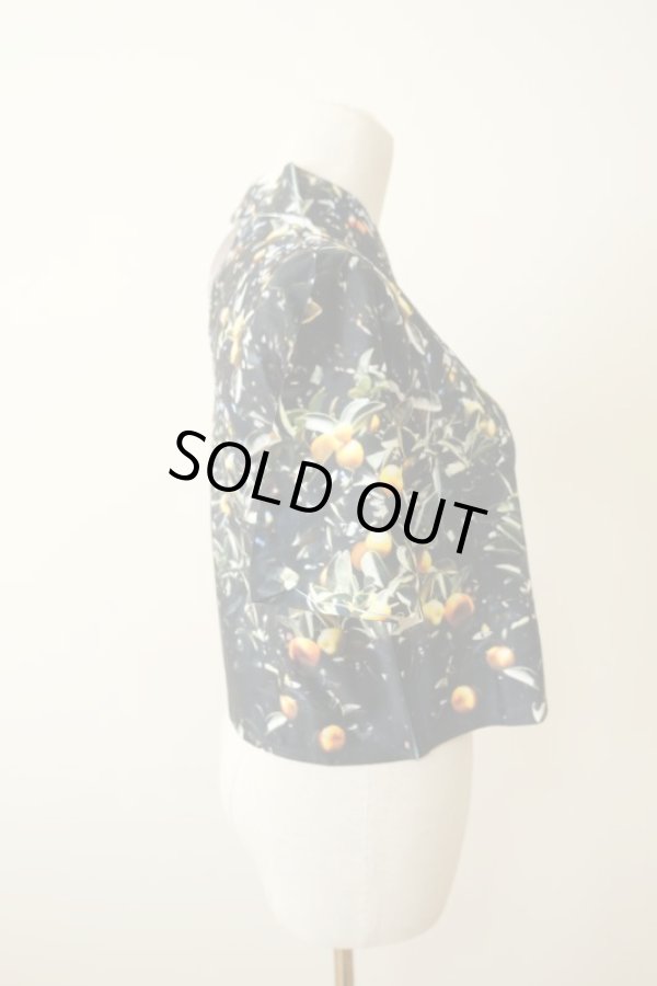 画像2: NON TOKYO  LANDSCAPE PRINT POLO SHIRT  (2)