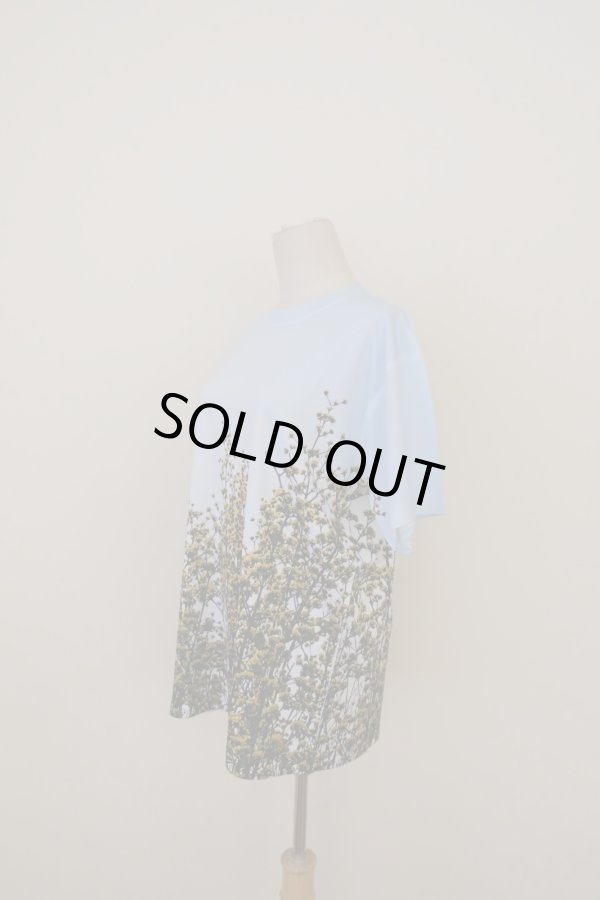 画像2: NON TOKYO DIRECT PRINT T-SHIRT Branch (2)