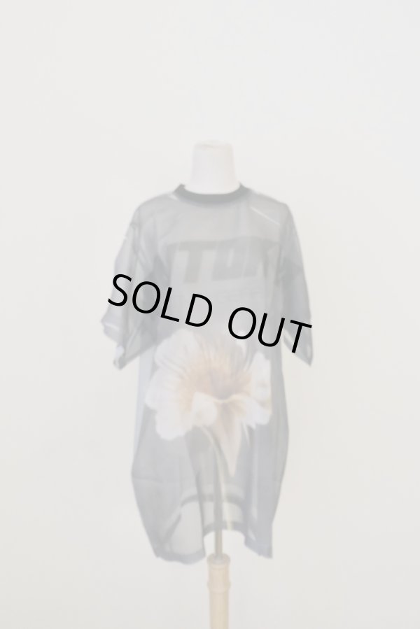 画像1: NON TOKYO DIRECT SHEER  PRINT T-SHIRT Flower  (1)