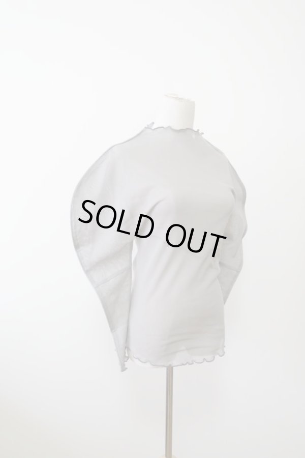 画像2: DECO depuis 1985 MESH GESSYOKU TOPS gery (2)