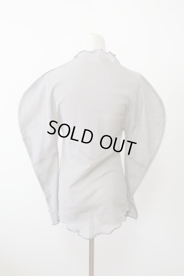 画像3: DECO depuis 1985 MESH GESSYOKU TOPS gery (3)