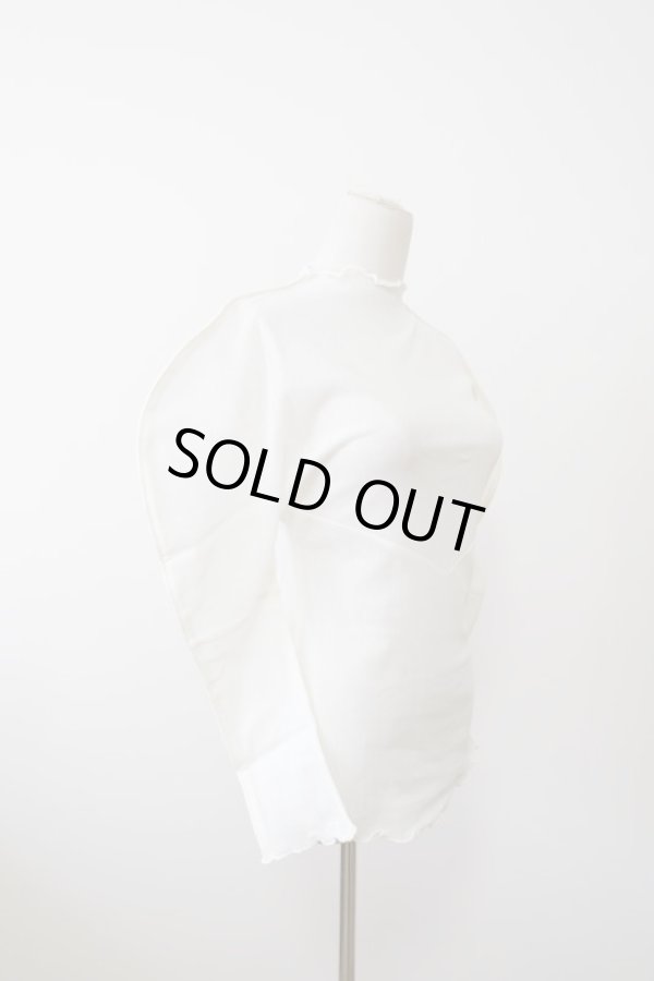 画像2: DECO depuis 1985 MESH GESSYOKU TOPS ivory (2)