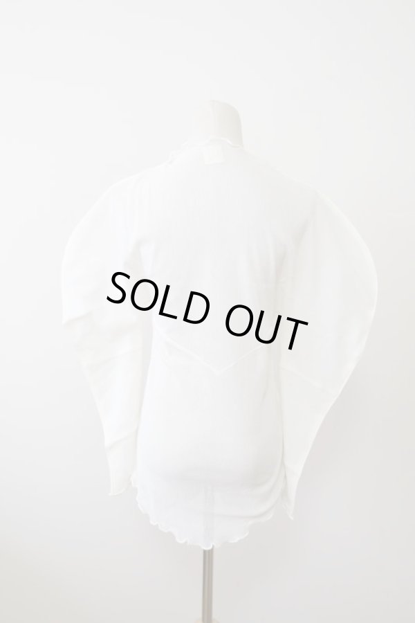 画像3: DECO depuis 1985 MESH GESSYOKU TOPS ivory (3)