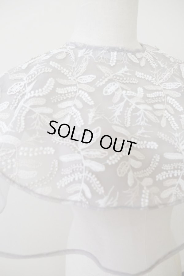 画像3: AOIWANAKA  Pine  レースケープ bluebeige (3)