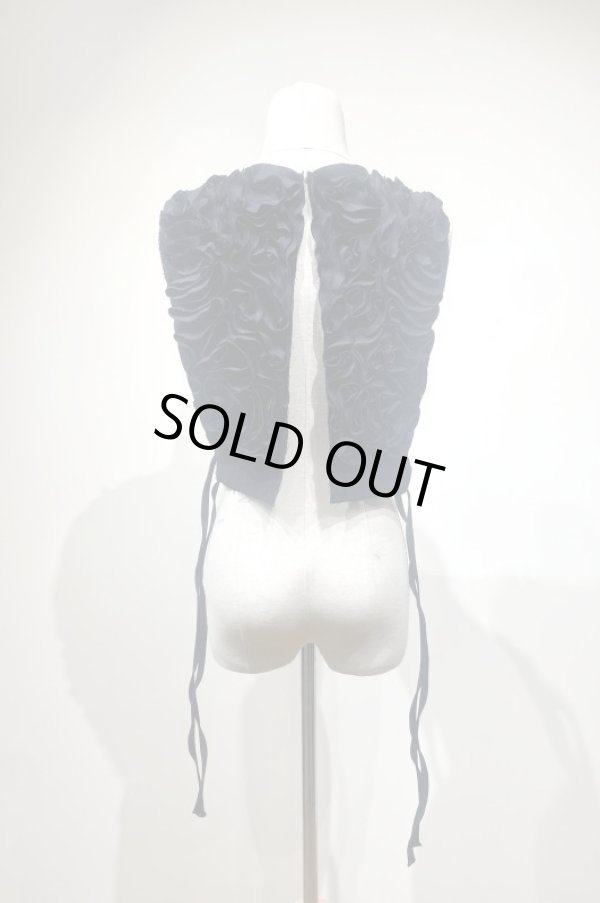 画像4: YuumiARIA  Embroidery stripe vest (4)