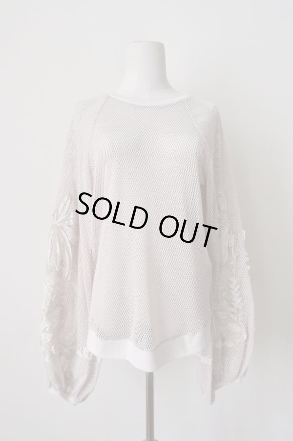 画像1: LOKITHO (ロキト) CORD EMBROIDERY MESH TOP beige (1)