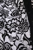 画像3: LOKITHO (ロキト）LACE WIDE PANTS　black (3)