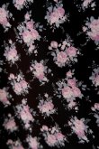 画像5: Jenny Fax  PIANO GIRL FLOWER  (5)