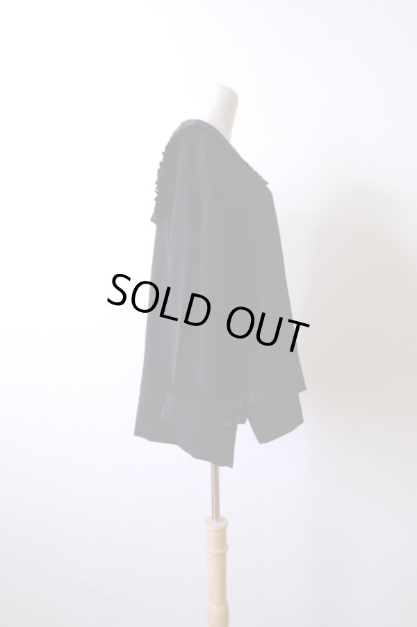 画像2: SOWA seagull black (2)