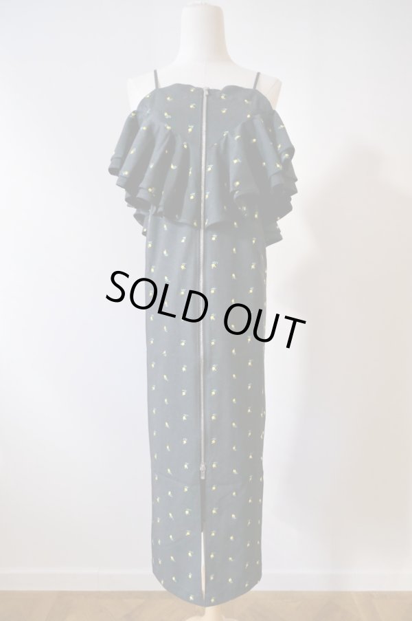 画像1: naokitomizuka (ナオキトミヅカ) Flower embroidery dress (1)