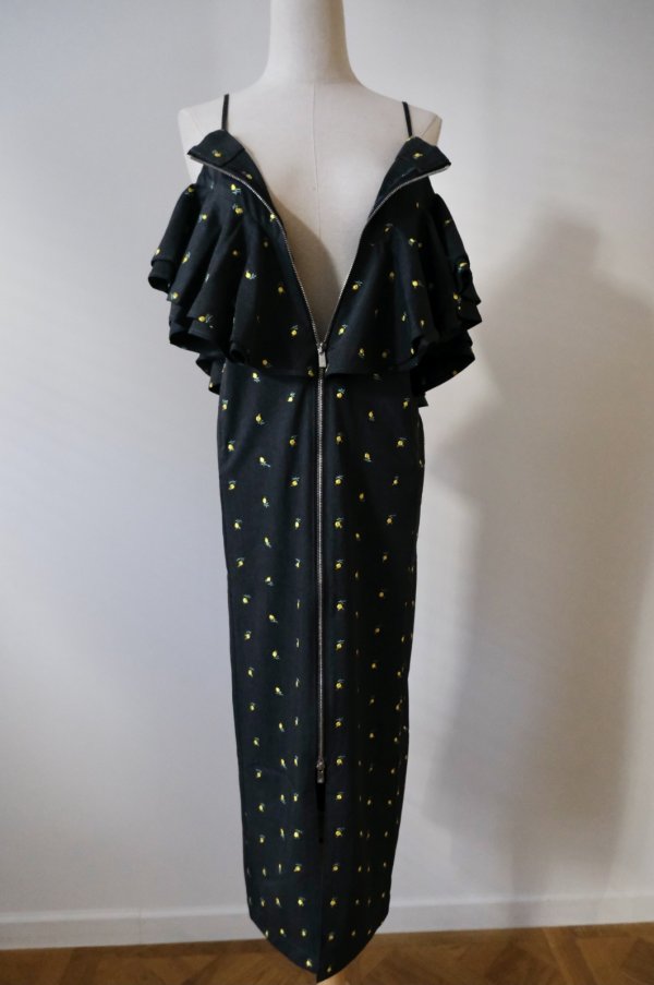 画像7: naokitomizuka (ナオキトミヅカ) Flower embroidery dress (7)