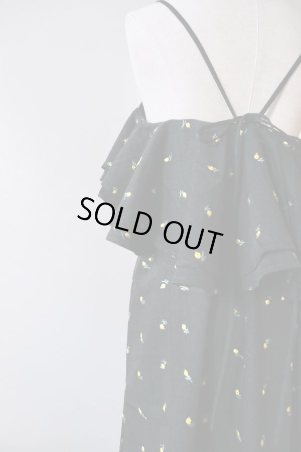 画像5: naokitomizuka (ナオキトミヅカ) Flower embroidery dress (5)