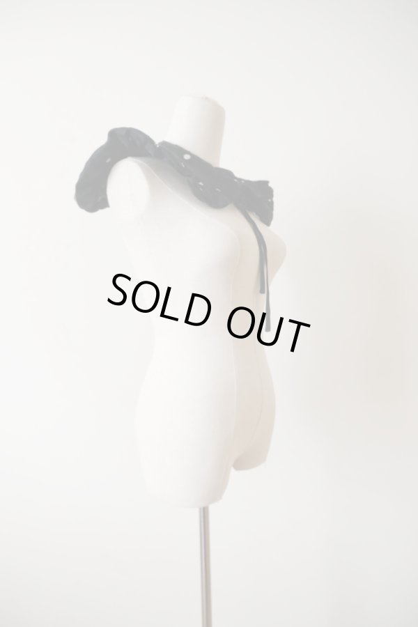 画像6: naokitomizuka (ナオキトミヅカ) Embroidery organdy shirt (6)