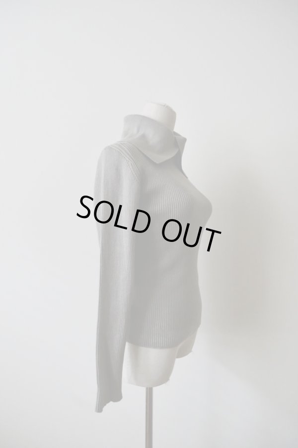 画像2: uca collared lib turtle PO grelge (2)