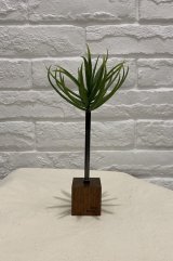 マルモページ 14Kgf❩ 大人シック✧ブラックオニキスのピアスチャーム ピアス K10ホワイトゴールド オニキス(丸玉)(4mm/6mm