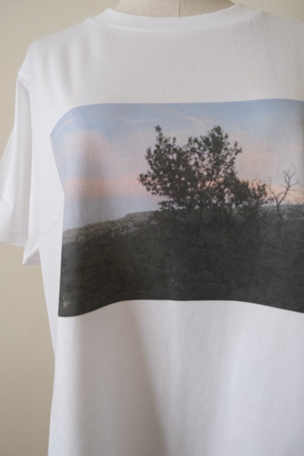 画像4: JUN OKAMOTO 儚い時間をうつしたTシャツ　white M (4)