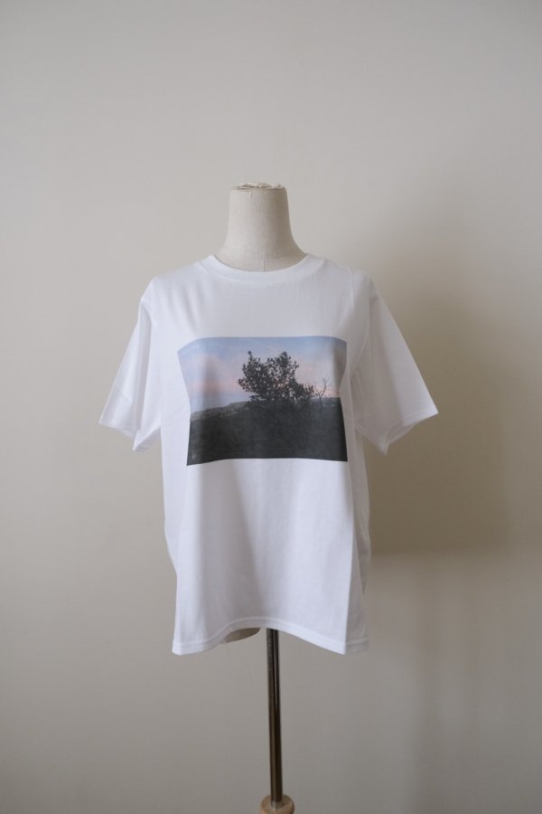 画像1: JUN OKAMOTO 儚い時間をうつしたTシャツ　white M (1)