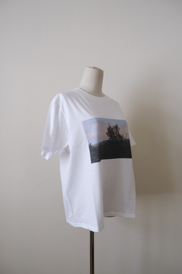 画像2: JUN OKAMOTO 儚い時間をうつしたTシャツ　white M (2)