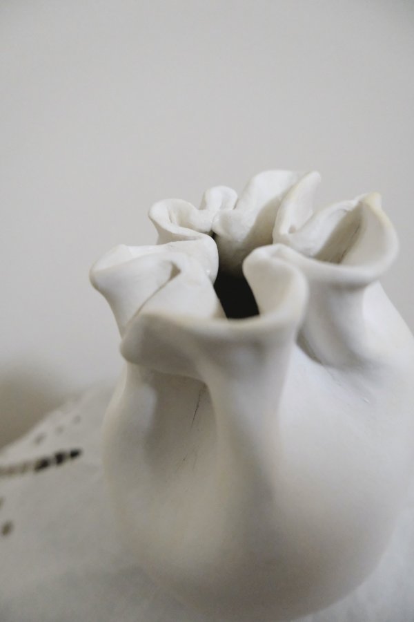 画像5: reika kobayashi kinchaku medium (5)