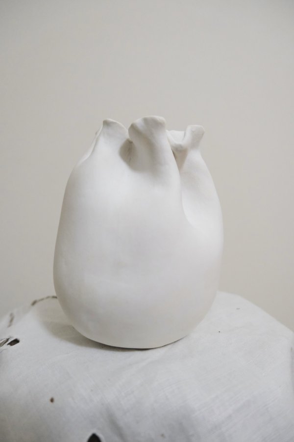 画像3: reika kobayashi kinchaku medium (3)