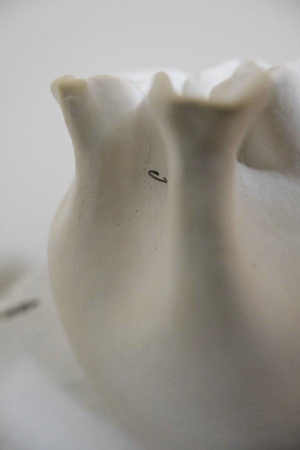 画像6: reika kobayashi kinchaku medium (6)