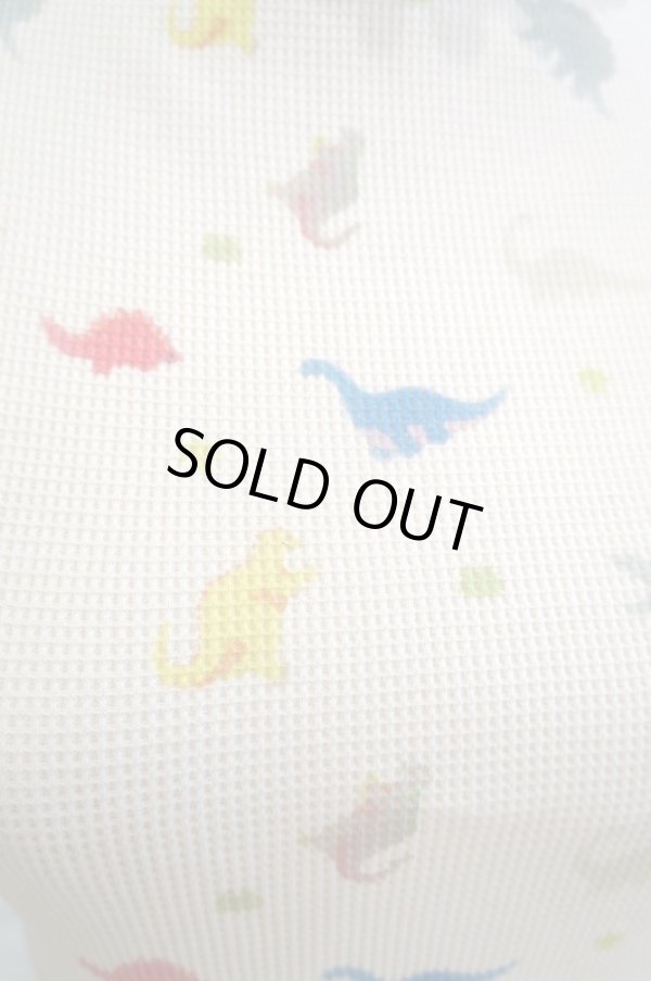 画像9: DECO depuis 1985 (デコ ドゥピュイイチキューハチゴー)  dinosaur waffle gessyoku tops (9)