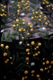 画像6: LOKITHO （ロキト）　EMBROIDERY FLARED DRESS ミモザ 刺繍ワンピース  yellow (6)