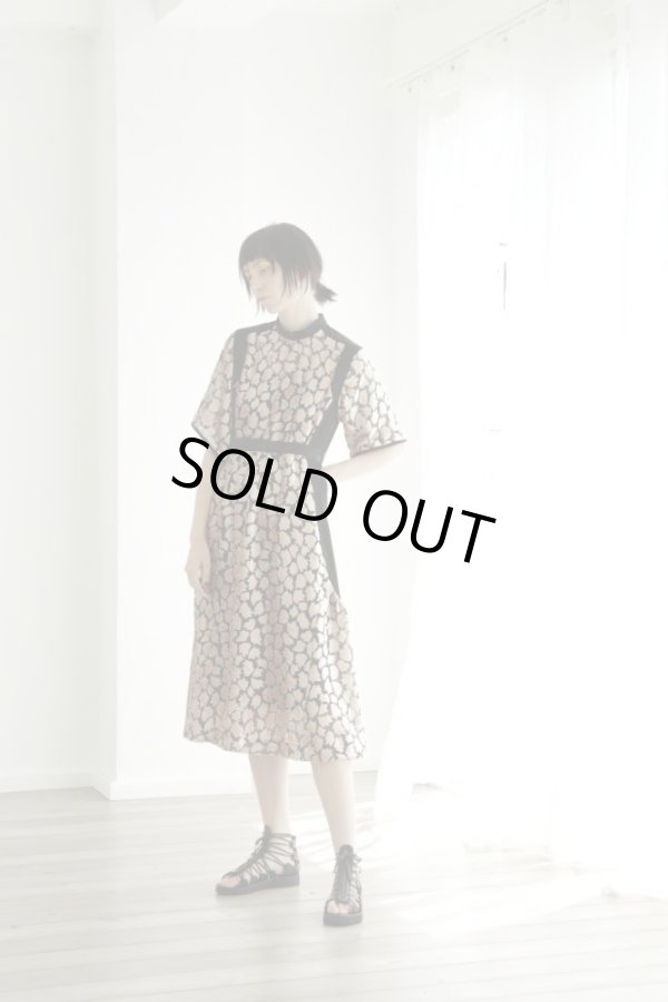 画像7: VELVET OPAL DRESS PINK (7)