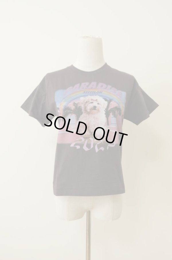 画像1: SIIILON (シーロン）Souvenir T-shirt black (1)