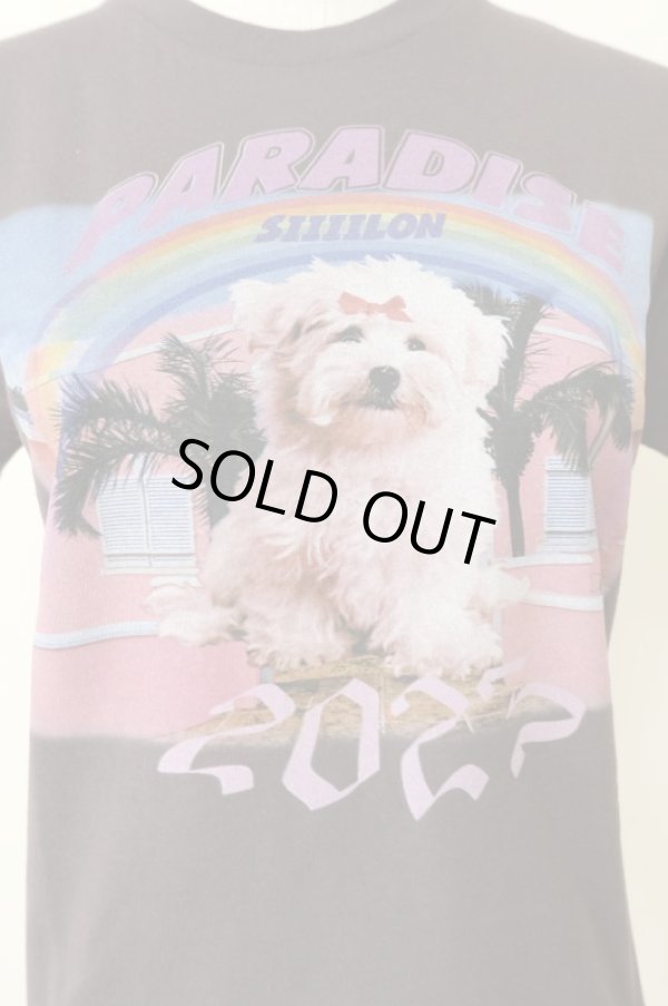 画像4: SIIILON (シーロン）Souvenir T-shirt black (4)